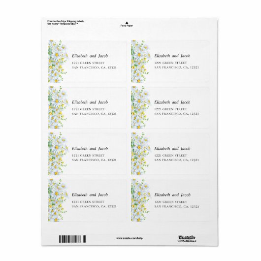 Chamomile. Blume in Ländern. Blumenhochzeit (Vorne)