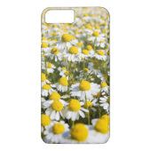 Chamomile Blume nah-up, Ungarn Case-Mate iPhone Hülle (Rückseite)