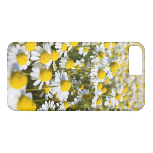 Chamomile Blume nah-up, Ungarn Case-Mate iPhone Hülle (Rückseite (Horizontal))