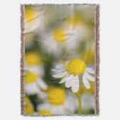 Chamomile Blume nah-up, Ungarn Decke (Vorderseite Vertikal)