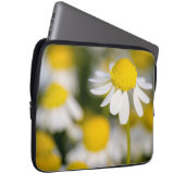 Chamomile Blume nah-up, Ungarn Laptopschutzhülle (Vorne Rechts)