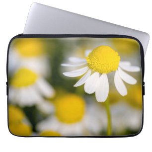 Chamomile Blume nah-up, Ungarn Laptopschutzhülle