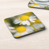 Chamomile Blume nah-up, Ungarn Untersetzer (Linke Seite)