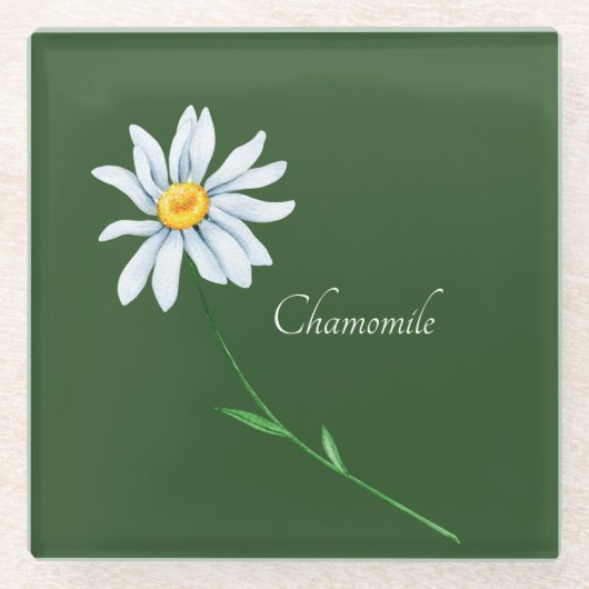 Chamomile Blume Watercolor Glasuntersetzer (Vorderseite)