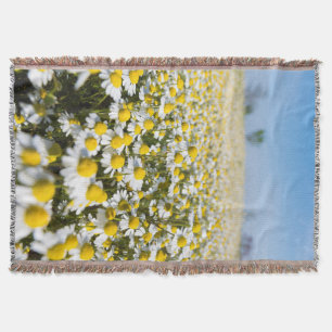 Chamomile Field, Ungarn Decke