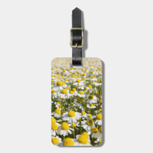 Chamomile Field, Ungarn Gepäckanhänger