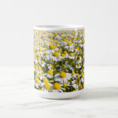 Chamomile Field, Ungarn Kaffeetasse (Mittel)