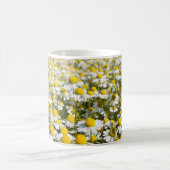Chamomile Field, Ungarn Kaffeetasse (Mittel)