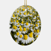 Chamomile Field, Ungarn Keramikornament (Rechts)