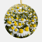 Chamomile Field, Ungarn Keramikornament (Vorne)