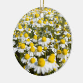 Chamomile Field, Ungarn Keramikornament (Links)