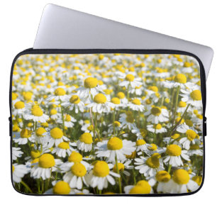 Chamomile Field, Ungarn Laptopschutzhülle