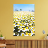 Chamomile Field, Ungarn Leinwanddruck (Insitu (Wohnzimmer))