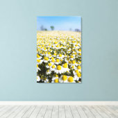 Chamomile Field, Ungarn Leinwanddruck (Insitu (Holzboden))