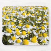 Chamomile Field, Ungarn Mousepad (Vorne)