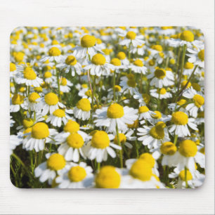 Chamomile Field, Ungarn Mousepad