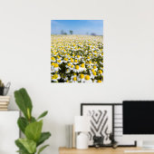 Chamomile Field, Ungarn Poster (Heimbüro)