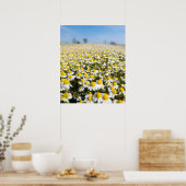 Chamomile Field, Ungarn Poster (Küche)