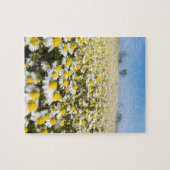 Chamomile Field, Ungarn Puzzle (Horizontal)