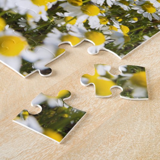 Chamomile Field, Ungarn Puzzle (Seite)