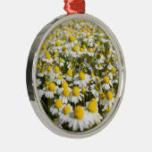 Chamomile Field, Ungarn Silbernes Ornament (Rechts)