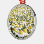 Chamomile Field, Ungarn Silbernes Ornament (Links)