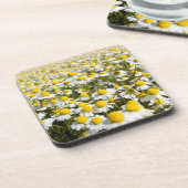 Chamomile Field, Ungarn Untersetzer (Linke Seite)