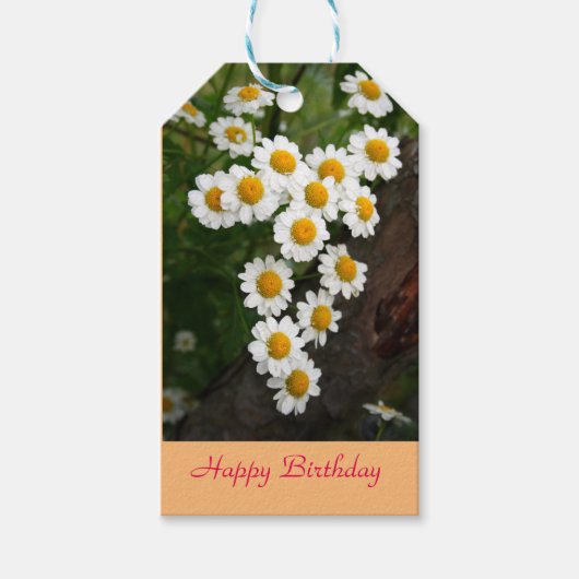 Chamomile Gift Tags Geschenkanhänger (Vorderseite)