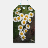 Chamomile Gift Tags Geschenkanhänger (Rückseite)