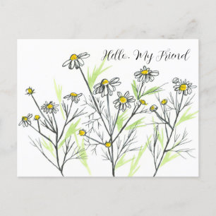 Chamomile Herb Blume Hello My Friend Postkarte