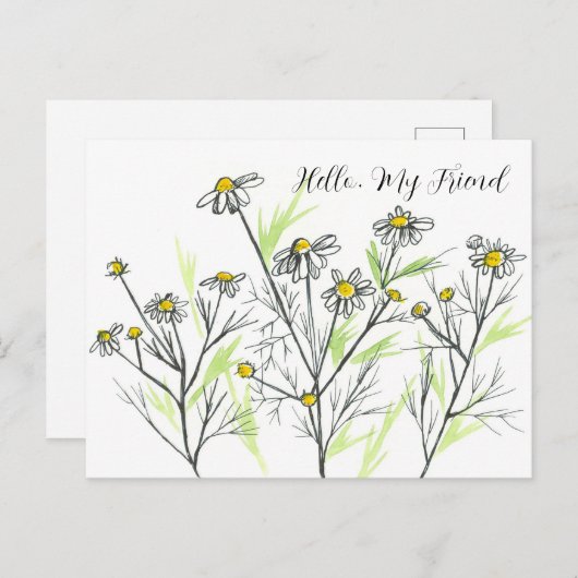 Chamomile Herb Blume Hello My Friend Postkarte (Vorne/Hinten)