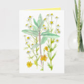 Chamomile Milkweed Garden Blume denken Karte (Vorderseite)