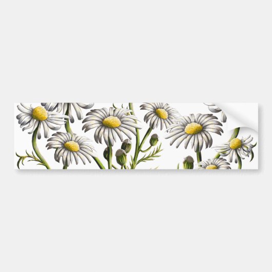 Chamomile Pflanze Magnet Autoaufkleber (Vorne)