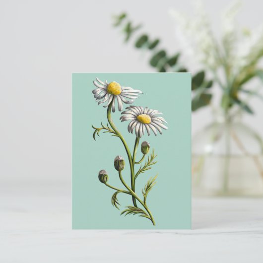 Chamomile Postcard Postkarte (Stehend Vorderseite)