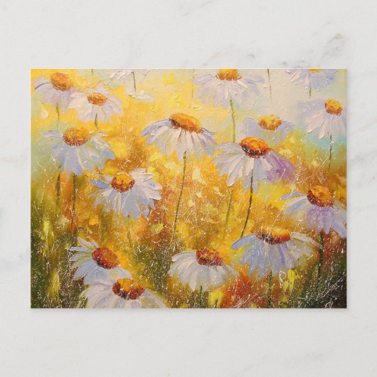 Chamomile Postkarte (Vorderseite)