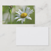 Chamomile Telefonnummerkarte (Vorne/Hinten)