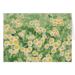 Chamomiles-Karte