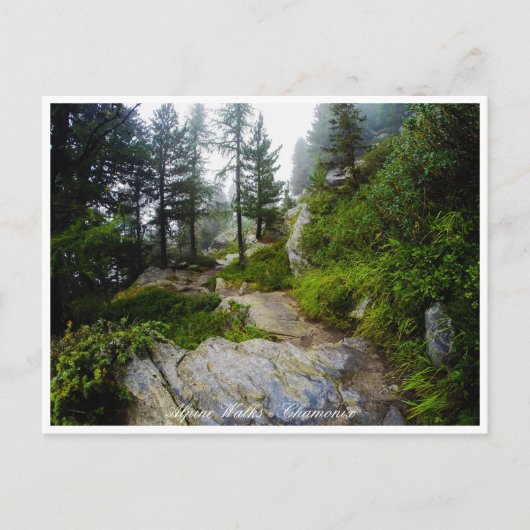 Chamonix - Blanc, Alpenlandschaft, Frankreich Postkarte (Vorderseite)