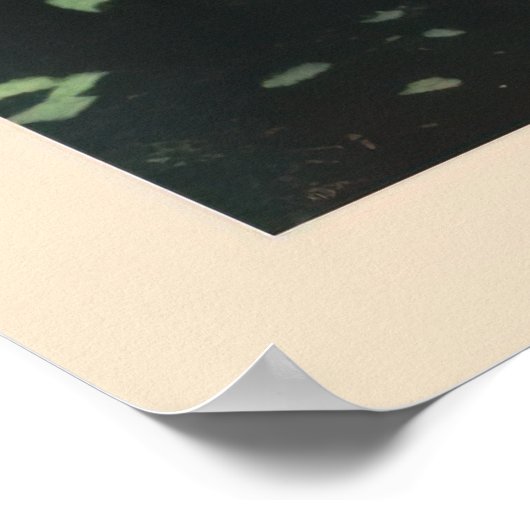 Chamonix, Mont Blan, Vintager Ski Poster (Ecke)