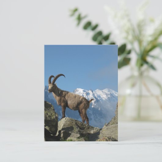 Chamonix Postkarte (Stehend Vorderseite)