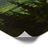 Chamonix Valley - Montblanc und La Flegere Poster (Ecke)