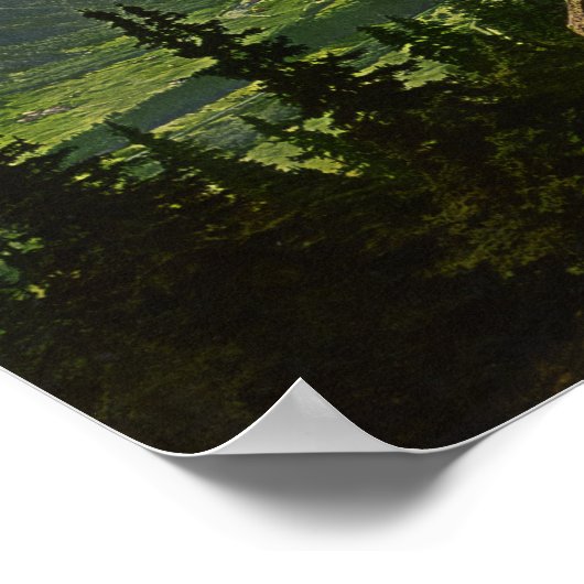 Chamonix Valley - Montblanc und La Flegere Poster (Ecke)