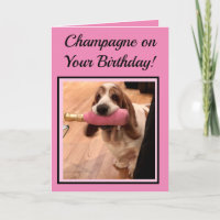 Champagne & Basset Hound auf der sonnigen Geburtst