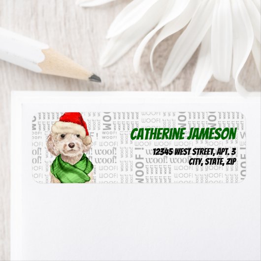 Champagne Cockapoo Dog Weihnachtsansprache (Insitu)