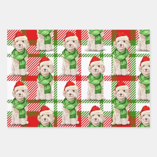 Champagne Cockapoo Weihnachtshund und Kariert Geschenkpapier Set (Vorderseite 3)