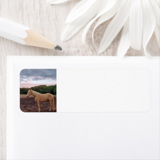 Champagne Horse (Insitu)