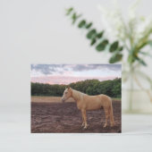 Champagne Horse Postkarte (Stehend Vorderseite)