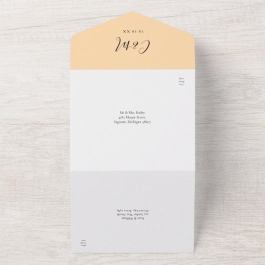 Champagne Modern Script Minimalistisch Wedding All In One Einladung (Außenbereich)