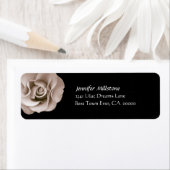 CHAMPAGNE Rose Hochzeitadresse (Insitu)