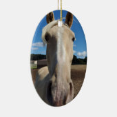 Champagne Tennessee Wanderross Ornament (Rechts)